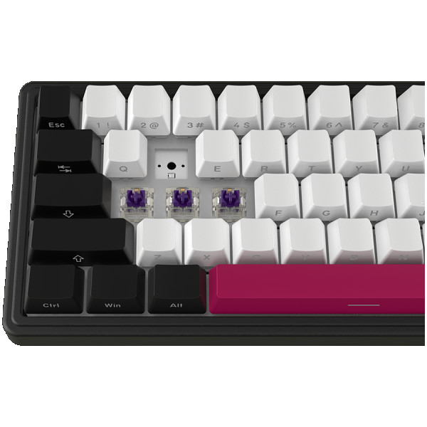 Wireless mechanical gaming keyboard Pro, 2.4 GHz, BT, RGB Backlight, 16 modes, 66 keys, 50M presses, linear Lorgar Toxic Purple switches, m (4)