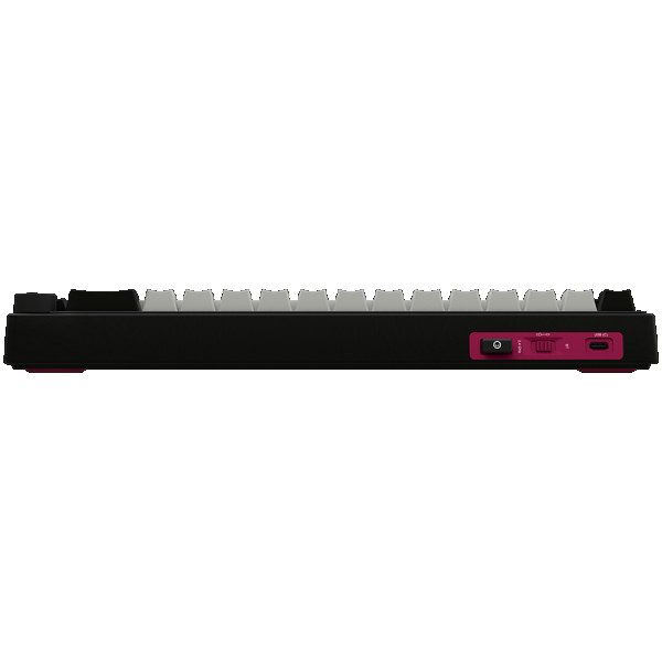 Wireless mechanical gaming keyboard Pro, 2.4 GHz, BT, RGB Backlight, 16 modes, 66 keys, 50M presses, linear Lorgar Toxic Purple switches, m (4)