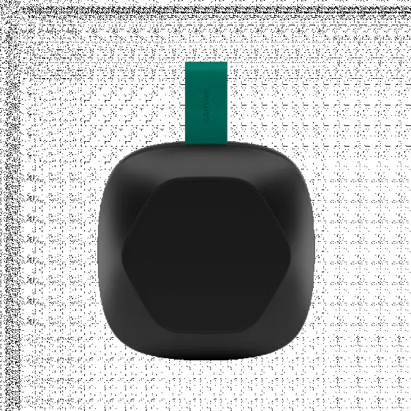 CANYON speaker HEXAGON 10 TWS 8W IPX5 Black Green ( CNE-CBTSP10BG ) 