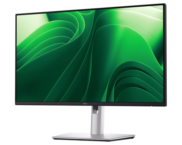 DELL 23.8 inch P2425D QHD 100Hz Pro Plus IPS monitor 