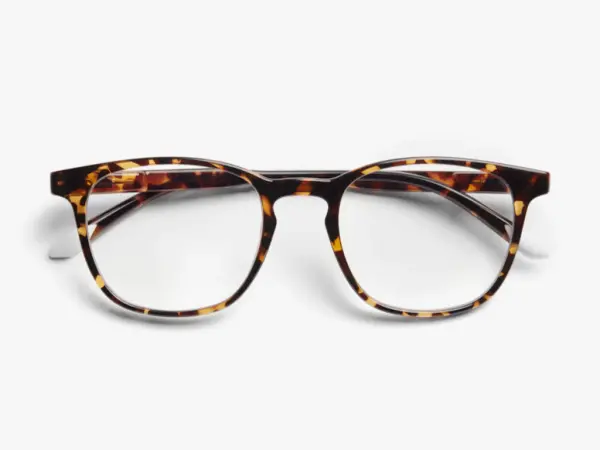 Zaštitne naocare BARNER DalstonGlossy Tortoise' ( 'DGT' ) 
