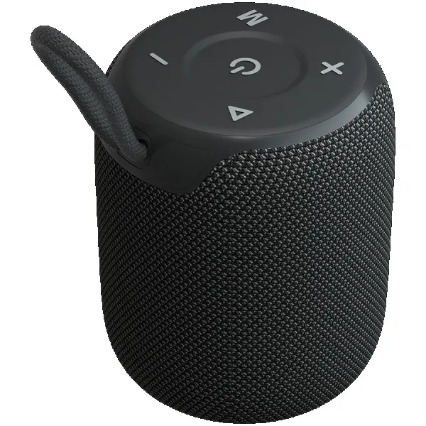 CANYON speaker OnMove 9 IPX6 TWS 10W Black ( CNE-CBTSP9 )