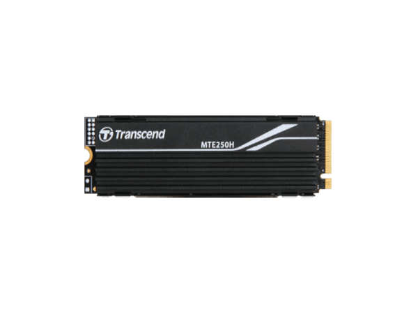 SSD TRANSCEND 2TBinterniM.2NVMecrna' ( 'TS2TMTE250H' ) 