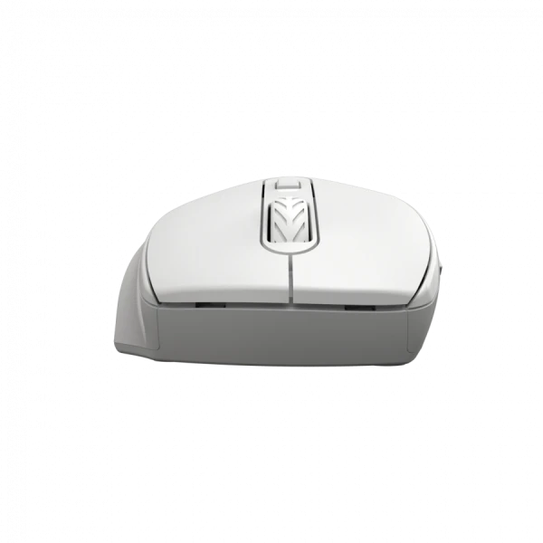 Canyon 6 buttons wireless 2.4Ghz mouse, MX8650A Sensor, DPI up to 1600,Injection case, 3 M life times left and right switches, 2xAAA batter (3)