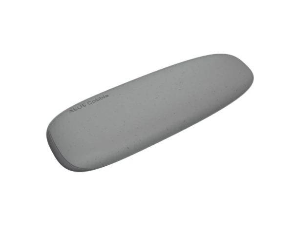 ASUS (ESD-A1A) SSD rack sivi 