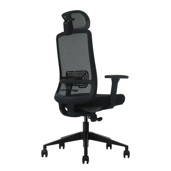 Ergonomska kancelarijska stolica UGD LumbarMax