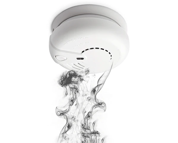 ELDES EWF1 Bezic.dimni detektor 