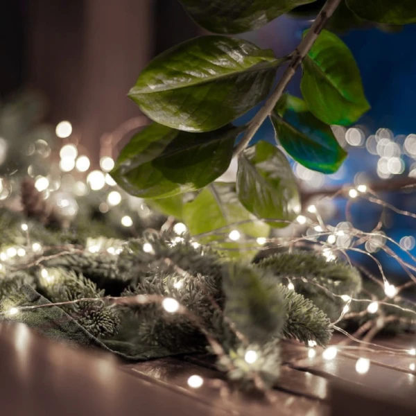 Lampice za jelku sa 50 hladno belih LED dioda