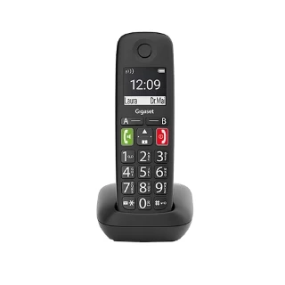 Gigaset E290 crna ( 42007 )