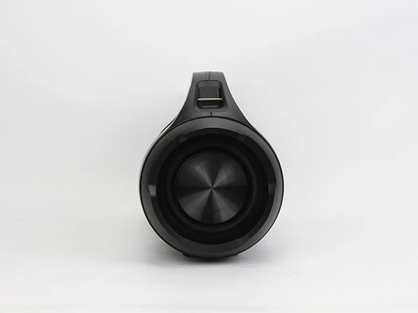 Bluetooth zvučnik Xwave Sport 55