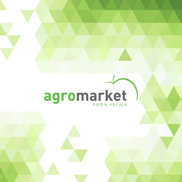 FUSE akumulatorska brushless udarna bušilica Villager VPL 8220 