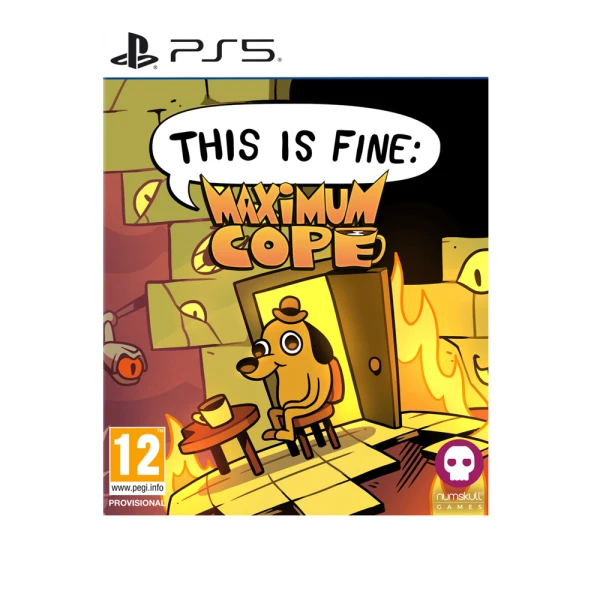 PS5 This is Fine: Maximum Cope