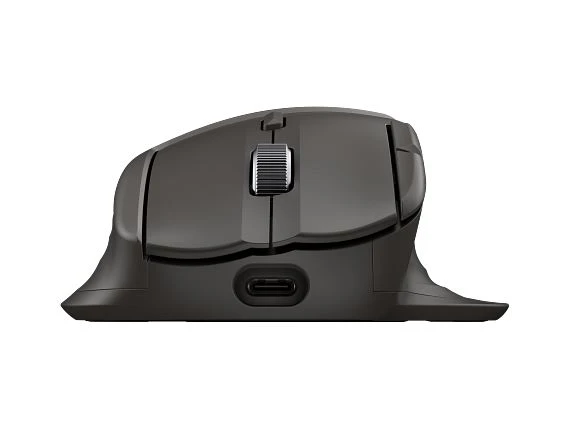 HP DOD Ultra-Fast-Scroll Wireless Mouse 785M, B8YX4AA