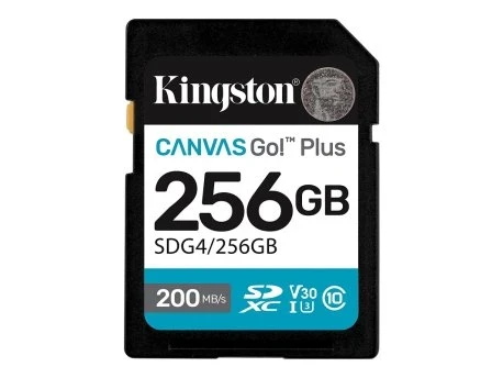 SD Card Kingston 128GB Canvas Go Plus SDG4 256GB