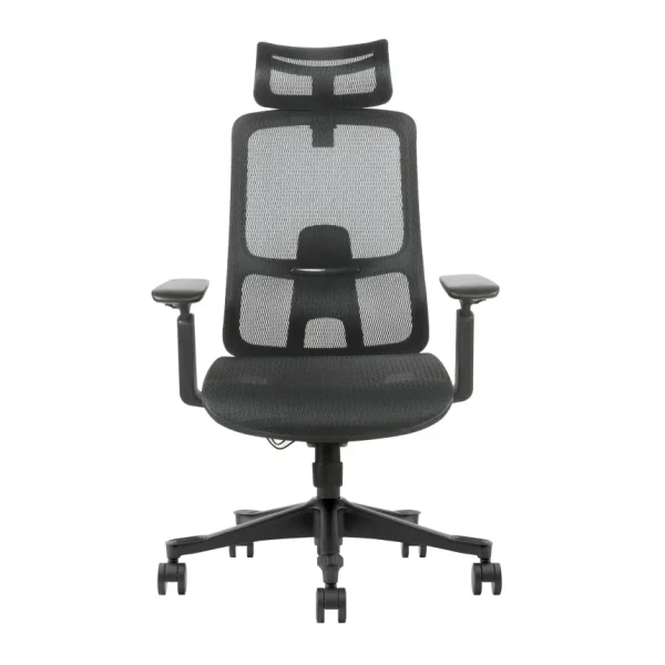 Ergonomska kancelarijska stolica UGD Task Master Mesh
