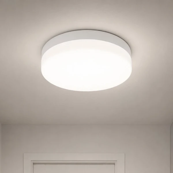LED plafonjera 24W hladno bela (4)