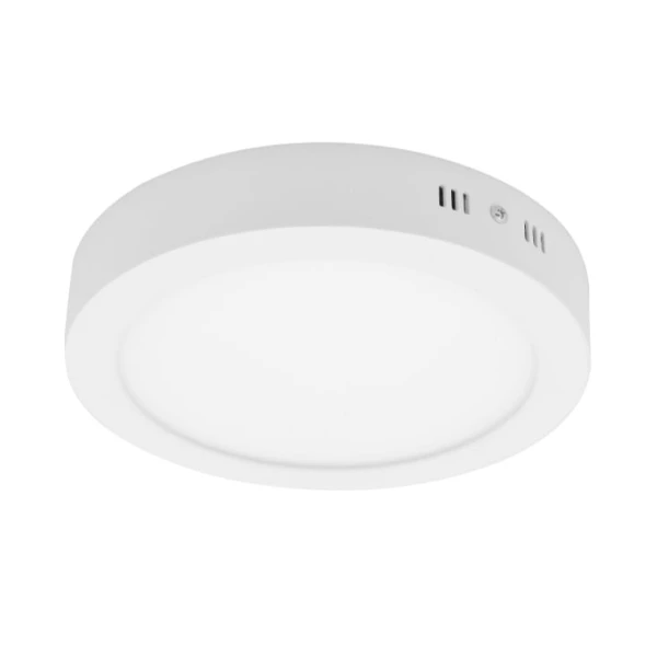 LED plafonjera 12W dnevno svetlo (2)