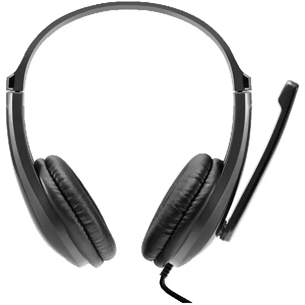 CANYON HSC-1 basic PC headset with microphone, combined 3.5mm plug, leather pads, Flat cable length 2.0m, 160*60*160mm, 0.13kg, Black ( CNS
