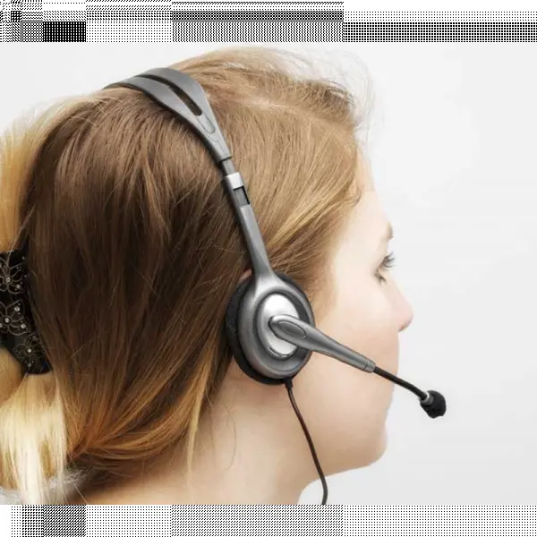 Sl. Sa mikrofonom Logitech H110 Stereo Headset