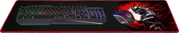 Podloga Gaming Defender Liberty 800x300x3mm