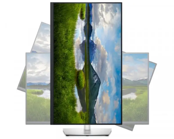 DELL 31.5'' P3221D QHD USB-C Professional IPS monitor