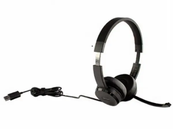 Slušalice LENOVO 100 StereoUSBpasive noise cancellation4XD0X88524crna' ( '4XD0X88524' )