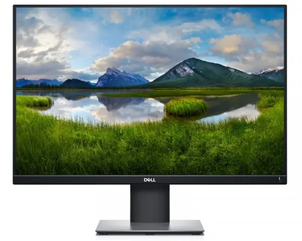 DELL 24'' P2421 Professional IPS monitor