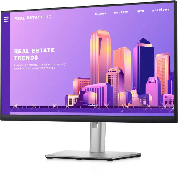 DELL 23.8'' P2422H Professional IPS monitor