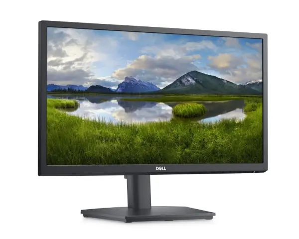 DELL OEM 21.5'' E2222HS monitor bulk