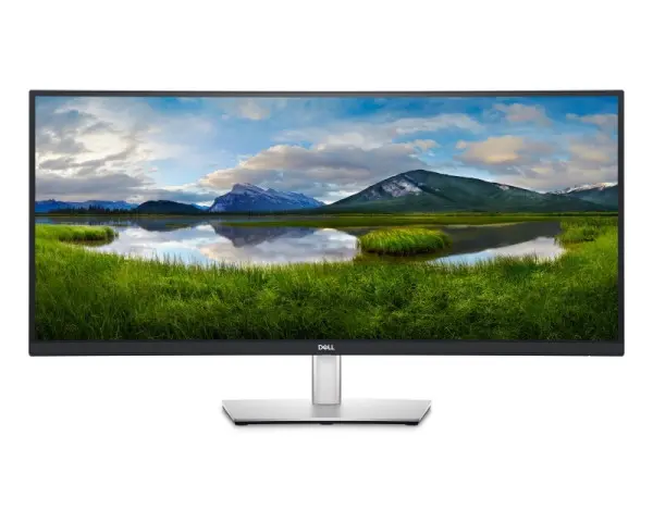 DELL 34'' P3421W WQHD USB-C Professional zakrivljeni IPS  monitor