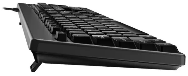 Tastatura USB Genius KB-116 YU Crna