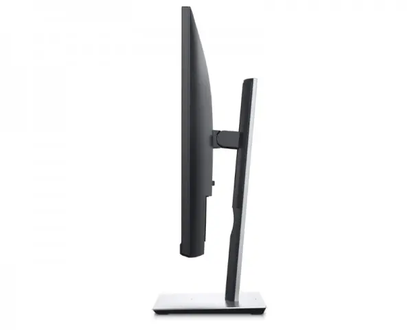 DELL 23.8'' P2421D QHD Professional IPS monitor